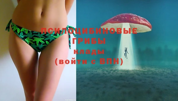 прущие крисы Алзамай